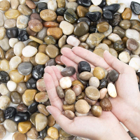 Pebbles Polished Gravel Natural Polished Mixed Color Stones Small Decorative River Rock Stones 2 Pou