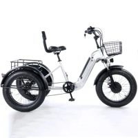 Tricycle cargo ebike 48V500W 3 wheel folding electric bicycle adult cargo electric bike with basket