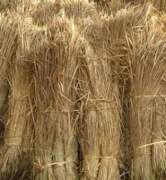 jerami padi kering 1kg dekorasi dan sarang ternak