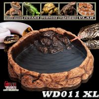 WD011XL WATERDISH WATER FEEDING DISH TEMPAT MAKAN MINUM IGUANA HIJAU BEARDED DRAGON BD DUNNER NAGA B