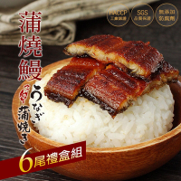 築地一番鮮-剛剛好日式蒲燒鰻魚6尾禮盒組(200g/尾)