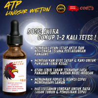 Doping ATP-Lingsir Weton Rahasianya Ayam Juara Para Botoh-454