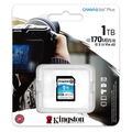 Kingston 金士頓 SDG3/1TB Canvas Go Plus 高速記憶卡 1TB SDXC UHS-I U3 V30 A2 記憶卡