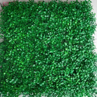 Daun dolar sintetis