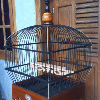 Sangkar burung derkuku/deruk/puter pelung