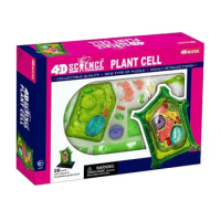 4D puzzle building toy creatures, animals, plants, cells, organs, anatomy, medicine teaching models