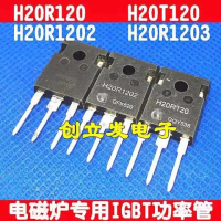 Ống Nguồn Nồi Cảm Ứng, Nhập Khẩu Chính Hãng, Tháo Lắp, H20R120 và H20R1202, 10 Gói