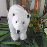 simulation white polar bear model toy hard model,props ,decoration gift about 28x18cm t360