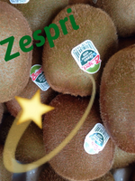 ZESPRI紐西蘭綠色奇異果中顆(30入原裝箱)【皇家果物】