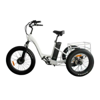 2023 3 Front Wheel Trikes Motorized E Bike/Electric Assist Cargo Trike/Three Electric Cargo Tricycle for Sale
