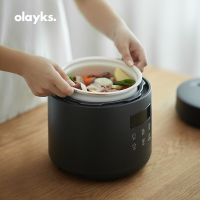 39bD หม้อหุงข้าวโอไคแบบทันที 2L ใช้ในบ้าน 5 เพิ่มขึ้น 3L หม้อหุงข้าวขนาดใหญ่สำหรับซุปที่มีฟังก์ชันกา