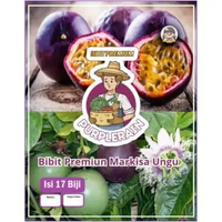 Bibit Premium Markisa Ungu | Benih Markisa Ungu