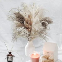 Natural Dried Pampas Grass, Boho Decor Fluffy White Pompous Grass Large Reed Bunny Tail Wheat Stalk Decorative Dekoration