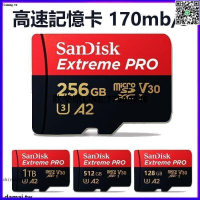 【歡樂購】臺灣公司貨 SanDisk 高速記憶卡 1TB 512G micro sd 256G switch專用記憶卡 手