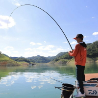 DAIWA達億瓦23新款LBT C 磯CS手海兩用竿遠投滑漂磯竿斜導環磯釣