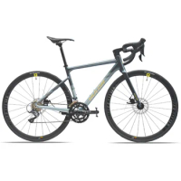 TWITTER bike Mountain road car bicicletas de carretera 18-speed fully concealed internal cable dual disc brakes bike велосипед