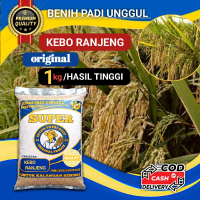 Benih padi kebo ranjeng (bojeng) 95hst ori 1kg