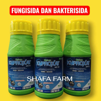 Kuproxat 345SC - Fungisida dan Bakterisida Anti Kresek, Bercak Daun dan Busuk Buah