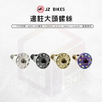 JZ 傑能 螺絲 邊柱螺絲 側柱螺絲 M10 邊柱 側柱 固定螺絲 造型螺絲 適用 勁戰 SMAX Force GTR