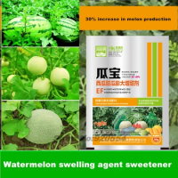 30g Watermelon melon specific foliar fertilizer expanding agent sweetener anti cracking increased yield flower, fruit protection