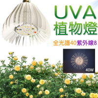 【JIUNPEY 君沛】40W 紫外線UV全光譜 E27植物燈泡(植物生長燈)