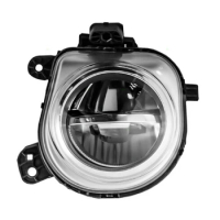 Fog Light driver Left Side Lens Housing Assembly For BMW X3 X4 X5 X6 63177317251