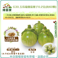 【綠藝家】G30.玉玲瓏圓茄種子0.2克(約60顆) 泰國茄子 (一代交配，果實卵圓型，顏色白綠相間)