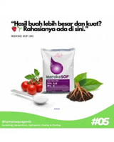 Pupuk Meroke SOP 1 kg Termurah