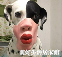 寵物狗狗面具搞怪搞笑口罩大笑嘴唇嘴套惡搞頭套卡通半臉頭套面罩♠極有家♠