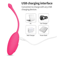 Panties Wireless Remote Vibrator Vagina Vibrating Egg Wearable Balls Vibrators Women Anal G-Spot Clitoris Stimulation