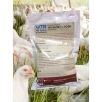 Feed Suplemen Enzyme Phytase utk tingkatkan kualitas pakan, pertumbuhan dan kenaikan bobt badan Ayam