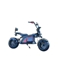 Leisure Cycling Products Electric Scooter Two Wheeler with EECcustom