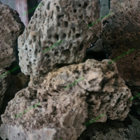 Batu Eragon Stone Hiasan Aquarium Aquascape & Hardscape Ukuran Random