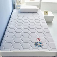 加厚床墊尺寸70x170家用床褥0.9米80x180x60x160x110x190x140大豆款-抗菌床墊-發財龍灰（舒適款）60*160cm