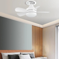5 Blades Small Ceiling Fan Dimmable White Ceiling Fan 3 Gear Speed Mini Ceiling Fan with LED Light f