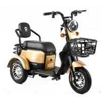 High Quality 600W 48V 3 Wheel Electric Scooter Cargo Electric Bike 3 Wheel Tricycle For Adults