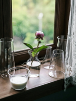 清怡 異形玻璃水杯 ins網紅創意透明女早餐牛奶咖啡飲料杯子
