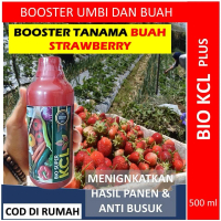 Pupuk Stroberi Biar Berbuah Lebat BIO kcl plus 500ML Pupuk NPK Cair untuk Tanaman Stroberi agar Bagu