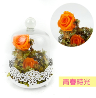 永生花禮盒組-青春時光，大地農園/情人節金莎花束/頒獎/畢業花束/畢業典禮/情人節禮物/送禮/捧花/節慶/婚禮小物/生日禮物/交換禮物/告白/求婚，X射線【Y110081】
