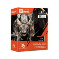 【SEAGATE 希捷】火梭魚 FireCuda 530R 2TB SSD(ZP2000GM3A063)