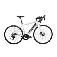 【DOSUN】電動輔助自行車/腳踏車 RT100 43CM 油壓碟 白_送安裝(車麗屋)