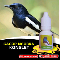 Vitamin Burung Kacer Gacor