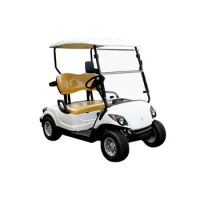 New Design Electric Golf Carts 2 Seater 3000W Motor Club Car Golf Cart Motorcycles Electric Scooters Adult Sightseeing Car