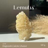 Lemulia Collector Doogtooth Calcite Cluster (L018) - เลอมูเรีย คอลเลคเตอร์ ด็อกทูธ แคลไซต์ คลัสเตอร์