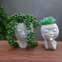 Pot Mini Kaktus Sukulen Boneka Kepala Besar Murah Estetik Perlengkapan Taman Bahan Semen Awet Tahan 