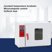 Electric heating constant temperature incubator 303-2A bacteria and microorganism culture laboratory incubator