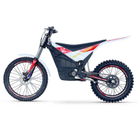 Arctic Leopard Electric off-road motorcycles Electric direct drive motorcycles 72V10kw High power off-road trail electric bike