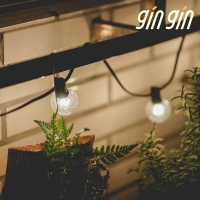 【gin gin】愛迪生戶外燈串(LED燈 露營燈串 草坪庭園燈 聖誕節布置 氛圍燈)