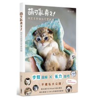 萌可亂真(2)！用羊毛氈做出可愛幼貓