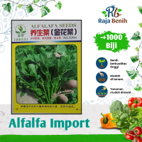 Benih Alfalfa Import KEMASAN ORIGINAL (-+1000 biji)